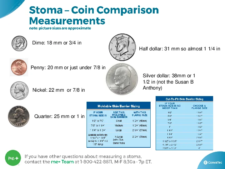 image showcasing stoma measurements