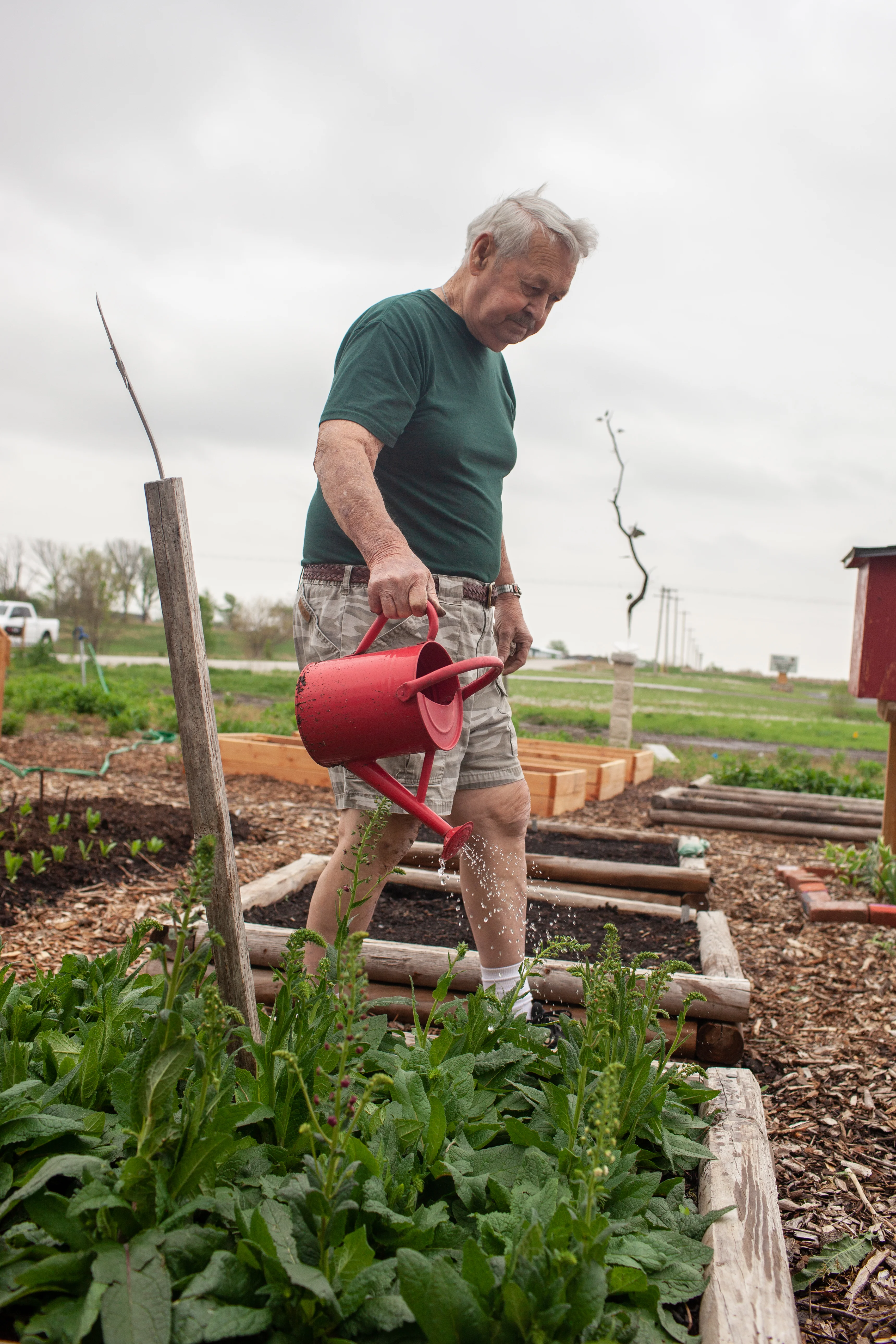 un homme dans un jardin